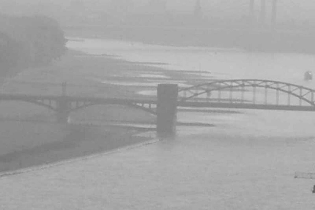 Cologne