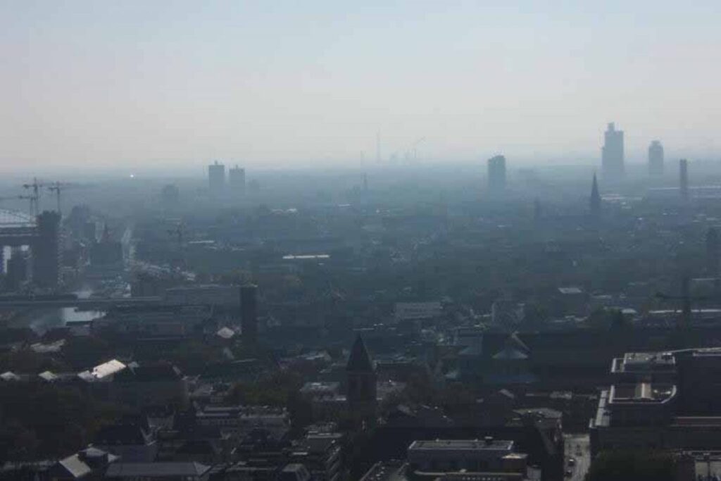 Cologne