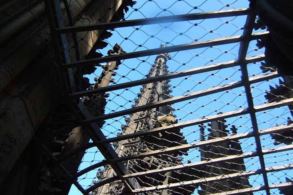 Cologne