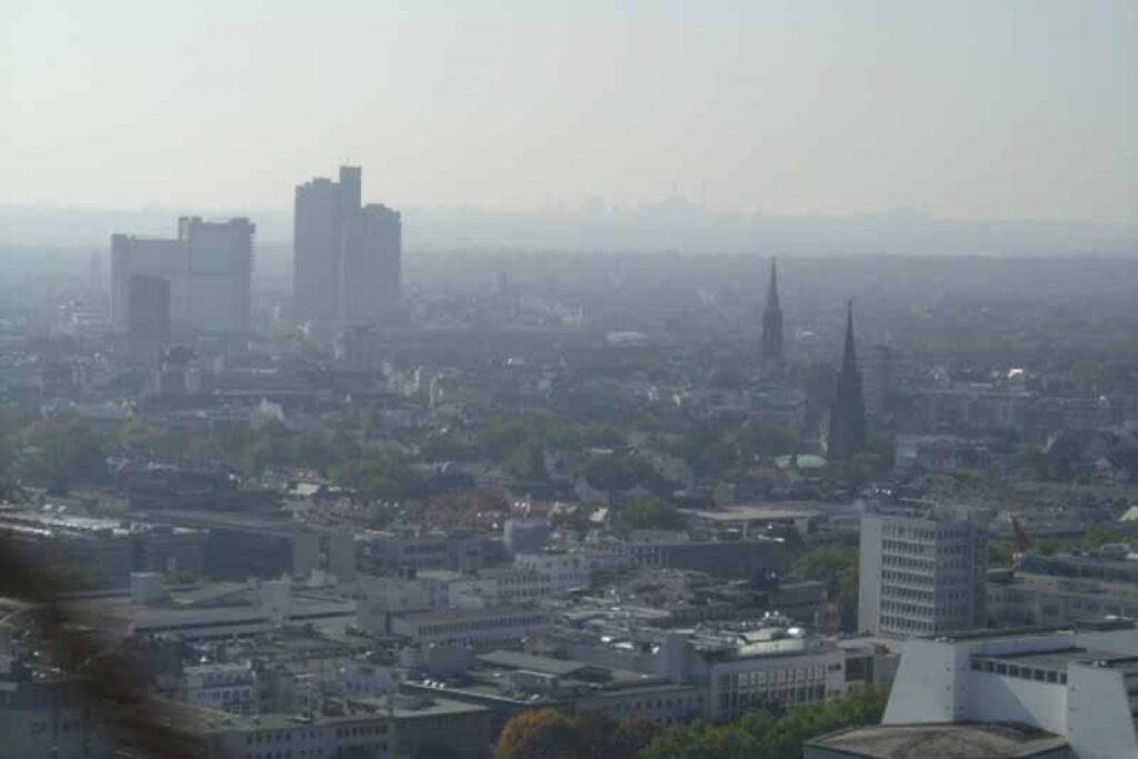 Cologne