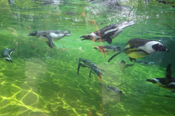 Zoological Gardens Wuppertal