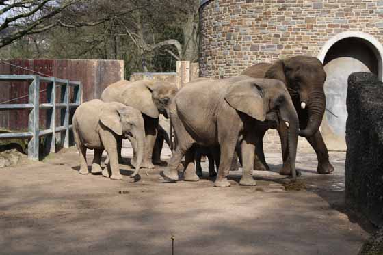 Zoological Gardens Wuppertal